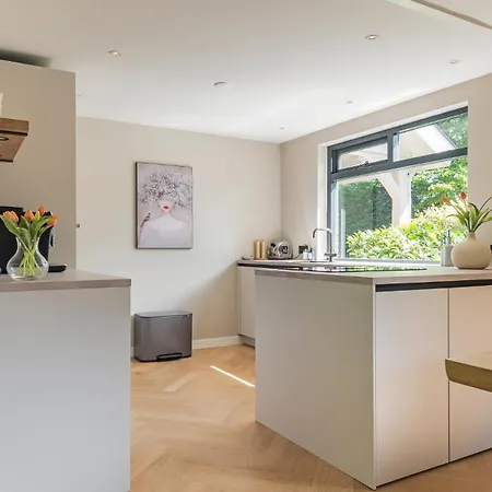 Zonnelicht 卑尔根